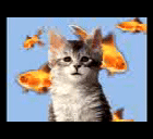 Gif 2